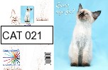 CAT 021